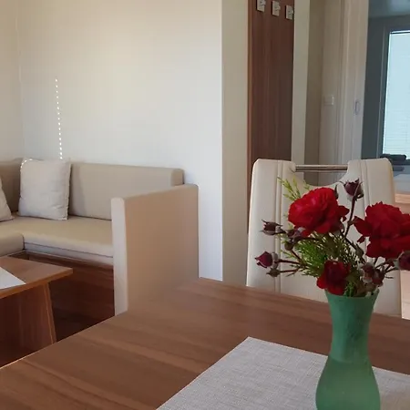 Hausboot - Floating House Water Lily 船屋 *