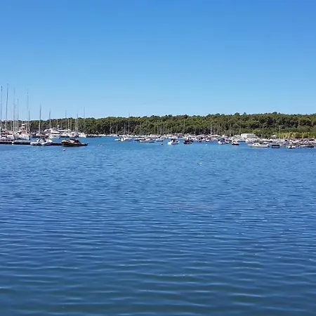 Hausboot - Floating House Water Lily بوتيل *