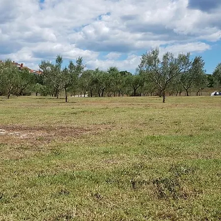 Hausboot - Floating House Water Lily بولا