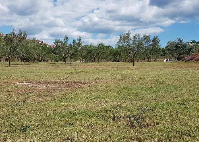 Hausboot - Floating House Water Lily 풀라